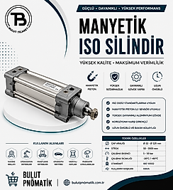EXPFLEX KDNT Q50 S MANYETİK YASTIKLI PNÖMATİK SİLİNDİR İSO SERİİ