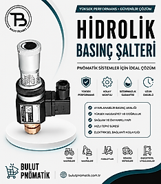JCS-02N BAŞINÇ ŞALTERİ 1/4  30-210BAR BASINÇ
