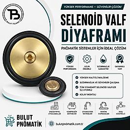 GEVAX 1" DİYAFRAM NBR