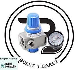 AR2000 1/4 REGÜLATÖR EXPFLEX