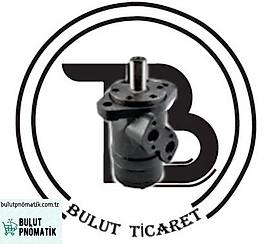 OMR-100 (BMR) HİDROMOTOR